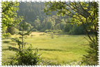 Balade Etang du devin